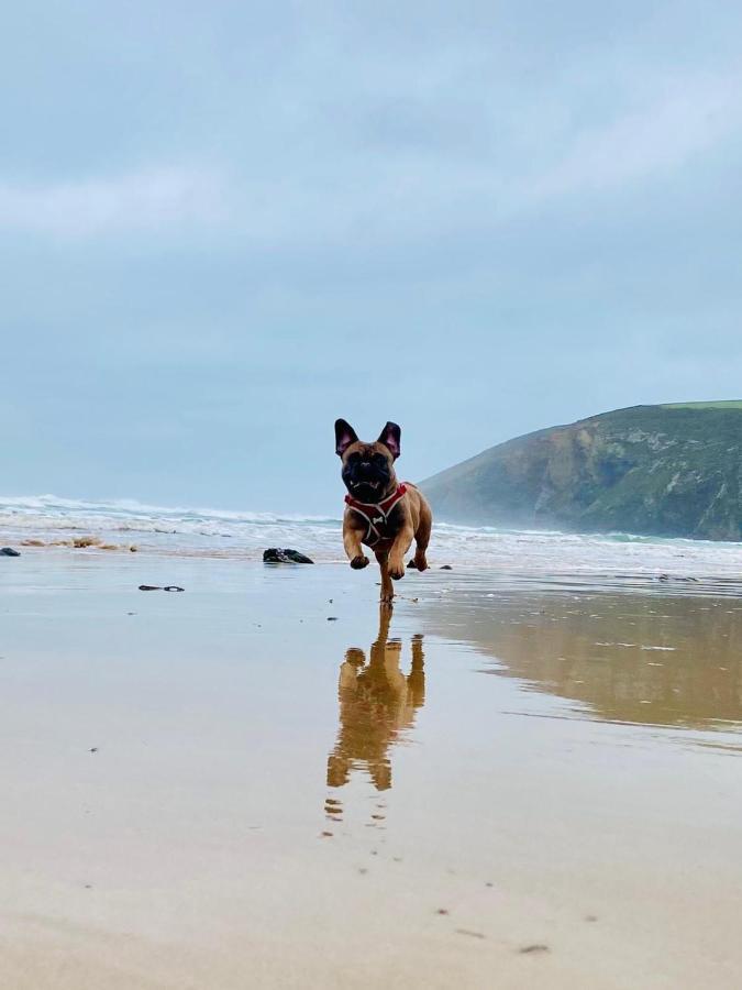 Daphne'S Lodge Mawgan Porth Exterior photo